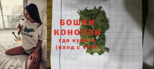 сатива Краснотурьинск