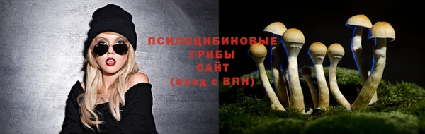 бутират Краснослободск