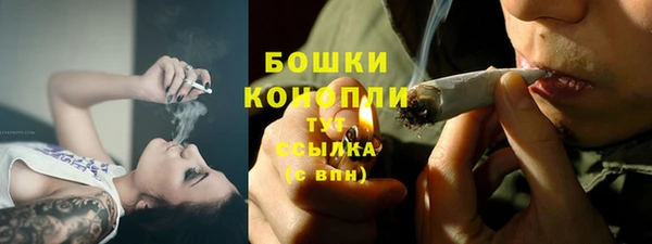 сатива Краснотурьинск