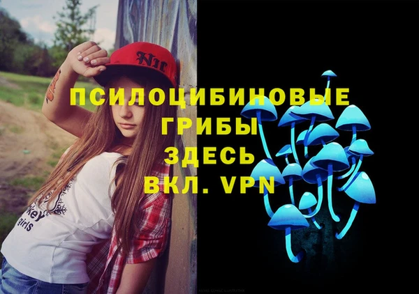 сатива Краснотурьинск