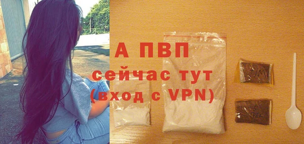 сатива Краснотурьинск