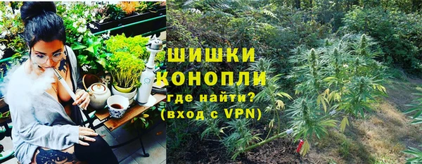сатива Краснотурьинск