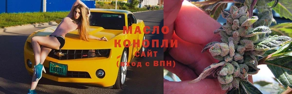сатива Краснотурьинск
