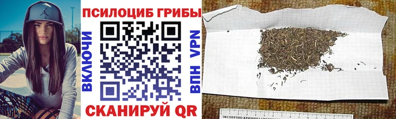 Галлюциногенные грибы прущие грибы  Купить закладки  Лукоянов 